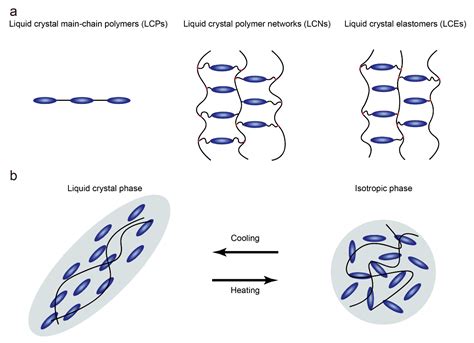  Liquid Crystalline Polymer! 액정 고분자는 미래를 향한 매혹적인 재료일까요?