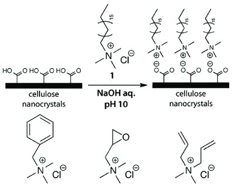  Quaternary Ammonium Salt:  신소재 전자재료로서의 잠재력과 미래 전망을 살펴보자!